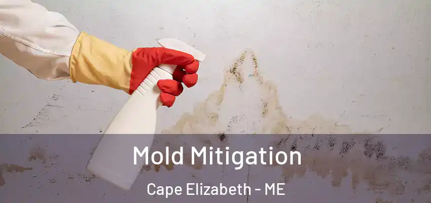  Mold Mitigation Cape Elizabeth - ME