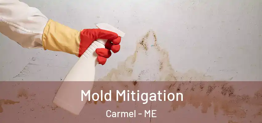  Mold Mitigation Carmel - ME