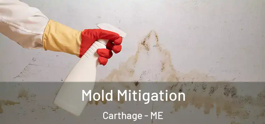  Mold Mitigation Carthage - ME