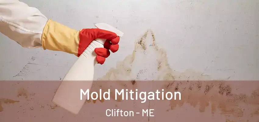  Mold Mitigation Clifton - ME