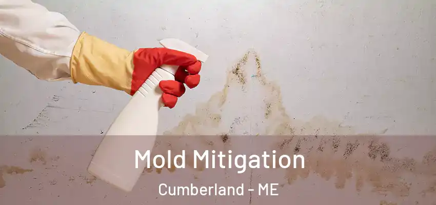  Mold Mitigation Cumberland - ME