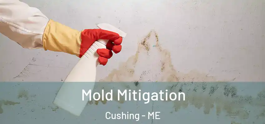  Mold Mitigation Cushing - ME