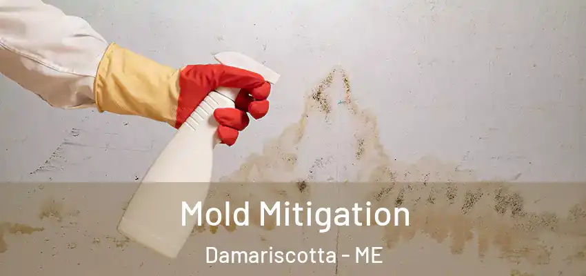  Mold Mitigation Damariscotta - ME