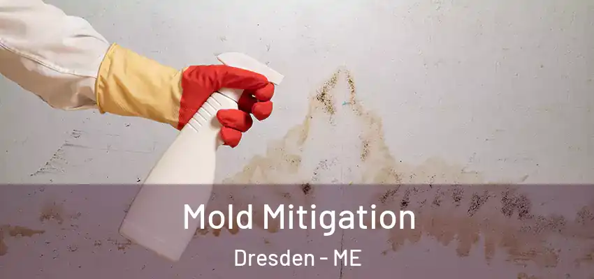 Mold Mitigation Dresden - ME