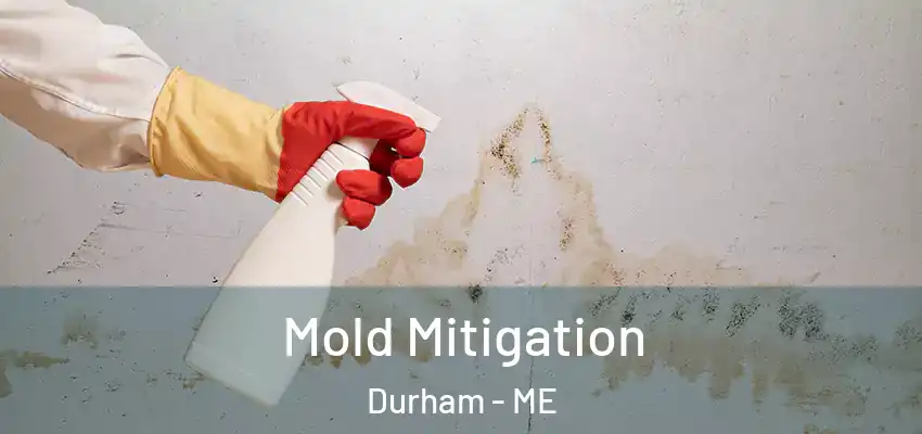 Mold Mitigation Durham - ME