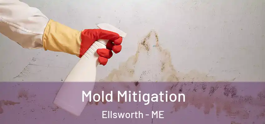 Mold Mitigation Ellsworth - ME