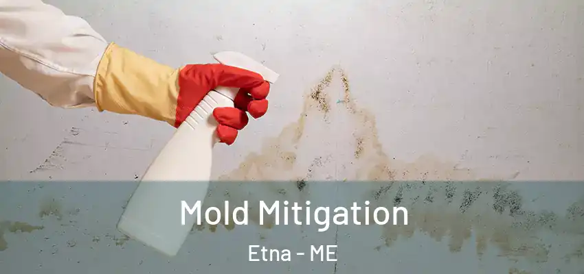 Mold Mitigation Etna - ME