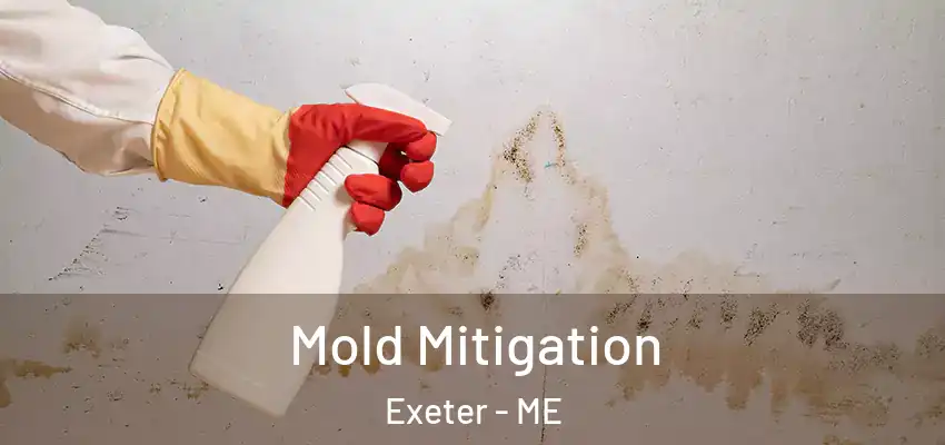 Mold Mitigation Exeter - ME