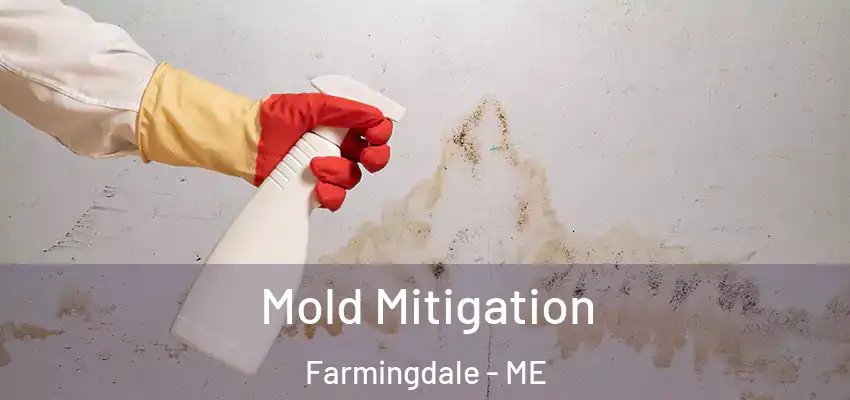  Mold Mitigation Farmingdale - ME