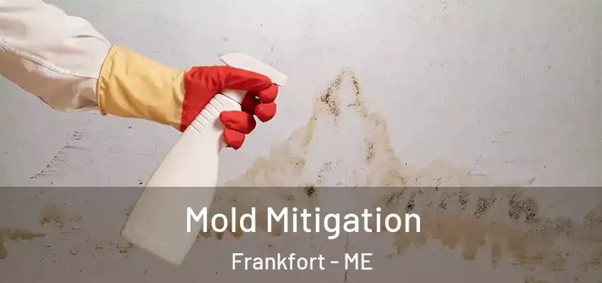 Mold Mitigation Frankfort - ME