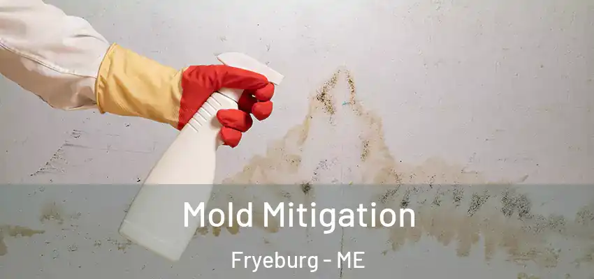  Mold Mitigation Fryeburg - ME
