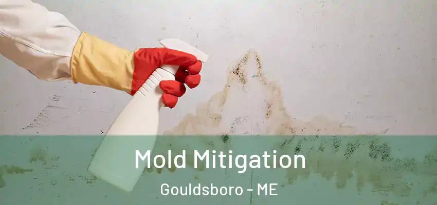  Mold Mitigation Gouldsboro - ME