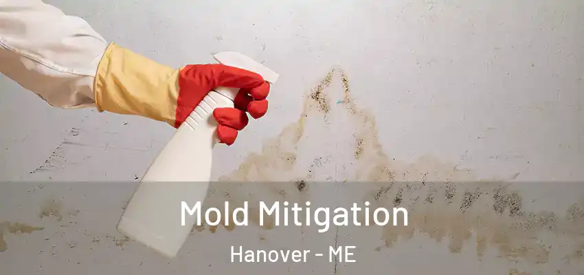 Mold Mitigation Hanover - ME
