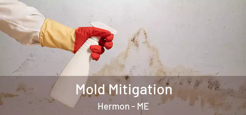 Mold Mitigation Hermon - ME