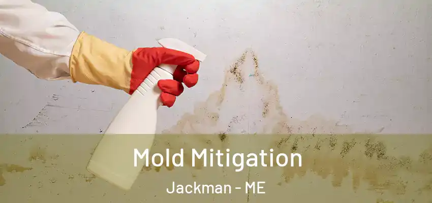  Mold Mitigation Jackman - ME
