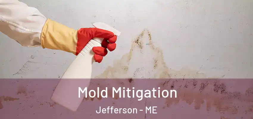 Mold Mitigation Jefferson - ME