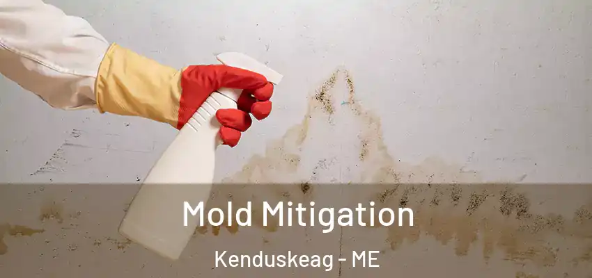  Mold Mitigation Kenduskeag - ME