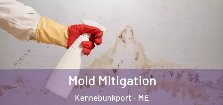  Mold Mitigation Kennebunkport - ME
