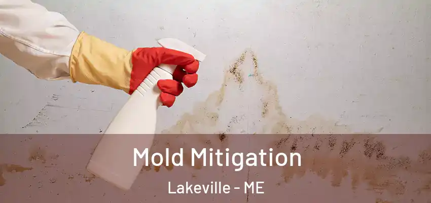  Mold Mitigation Lakeville - ME