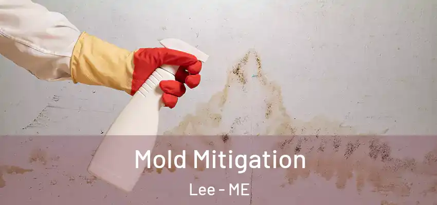  Mold Mitigation Lee - ME