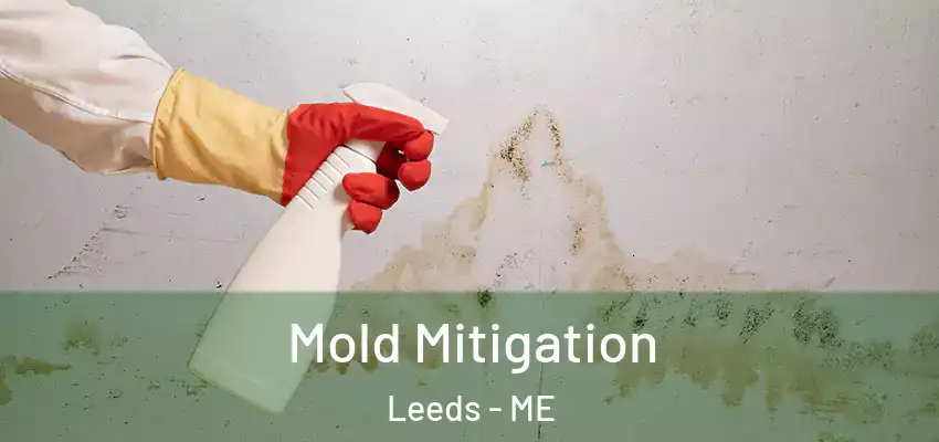 Mold Mitigation Leeds - ME