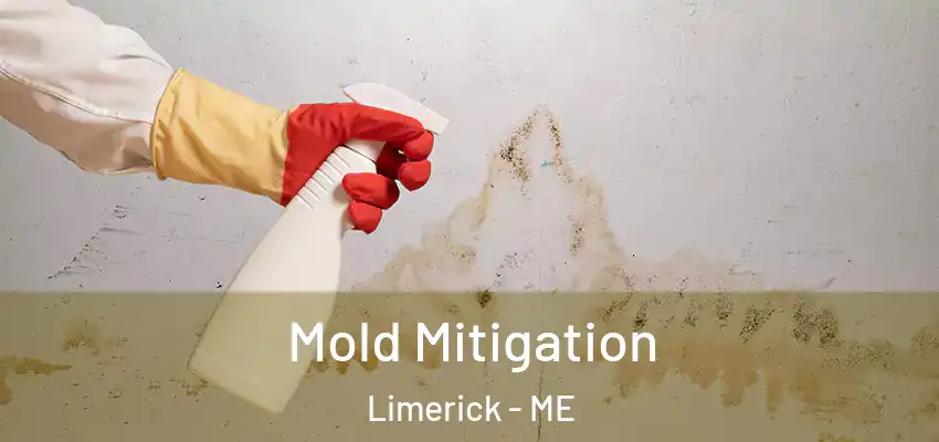 Mold Mitigation Limerick - ME