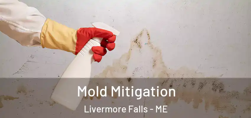  Mold Mitigation Livermore Falls - ME