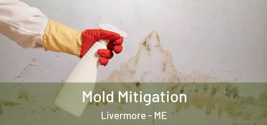Mold Mitigation Livermore - ME