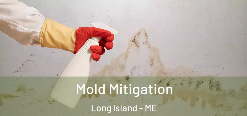  Mold Mitigation Long Island - ME