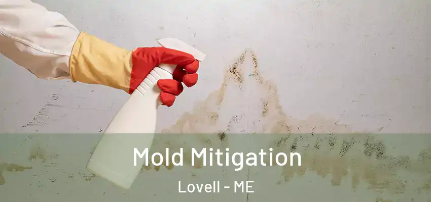 Mold Mitigation Lovell - ME