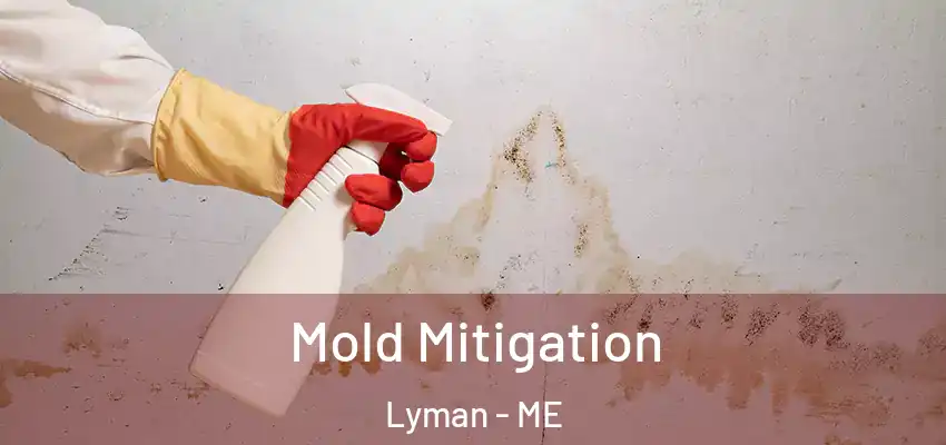 Mold Mitigation Lyman - ME