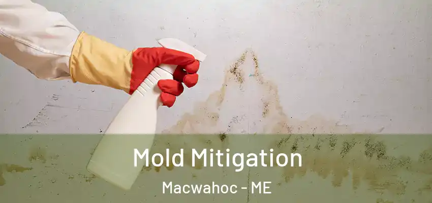  Mold Mitigation Macwahoc - ME