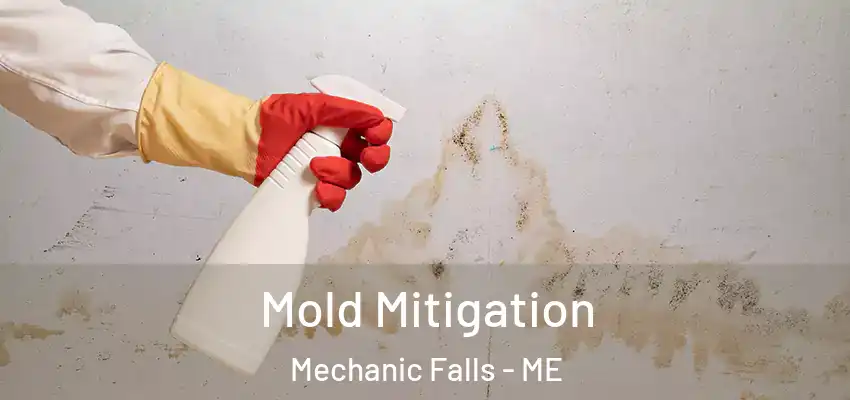 Mold Mitigation Mechanic Falls - ME