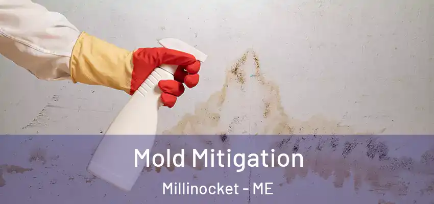  Mold Mitigation Millinocket - ME