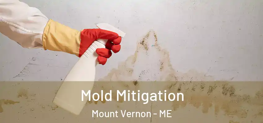 Mold Mitigation Mount Vernon - ME
