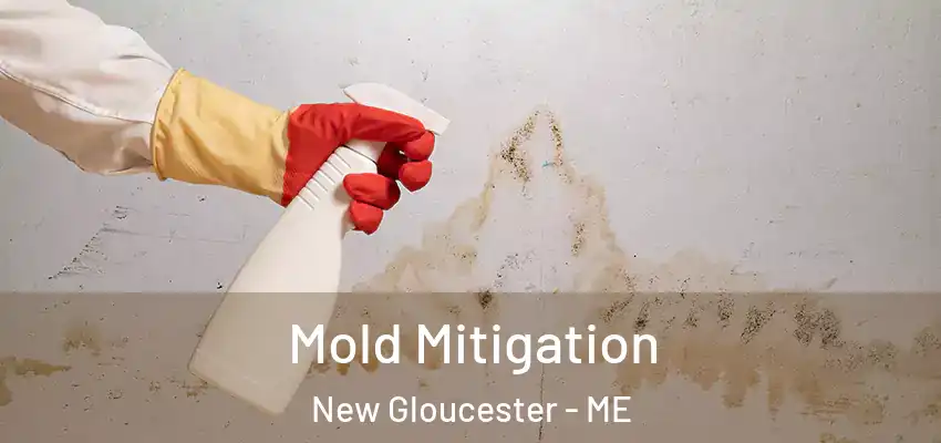 Mold Mitigation New Gloucester - ME