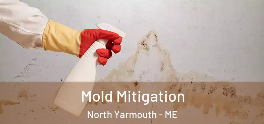 Mold Mitigation North Yarmouth - ME