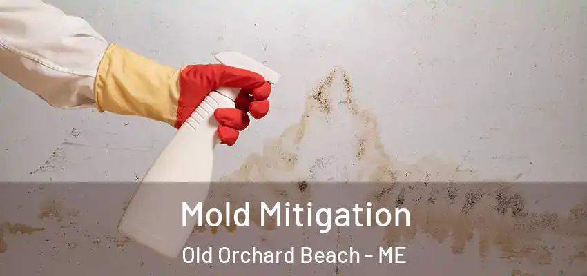  Mold Mitigation Old Orchard Beach - ME