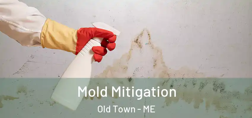 Mold Mitigation Old Town - ME