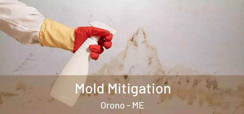 Mold Mitigation Orono - ME
