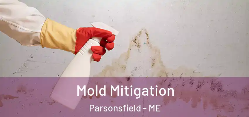Mold Mitigation Parsonsfield - ME
