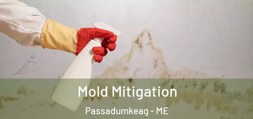 Mold Mitigation Passadumkeag - ME