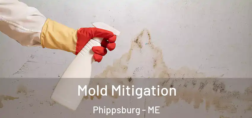 Mold Mitigation Phippsburg - ME