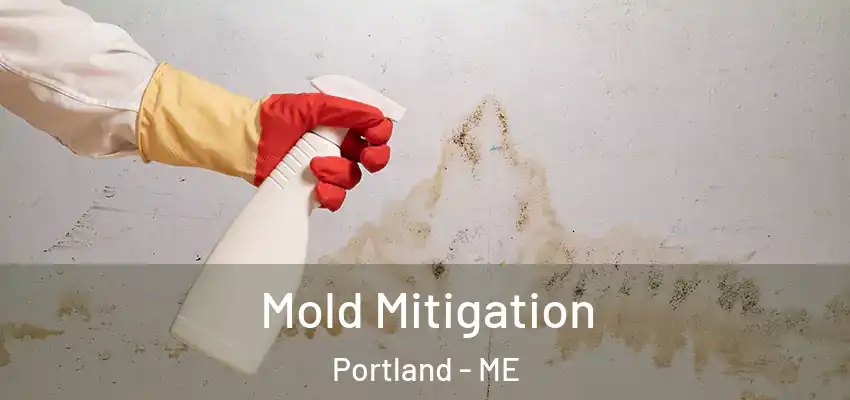  Mold Mitigation Portland - ME