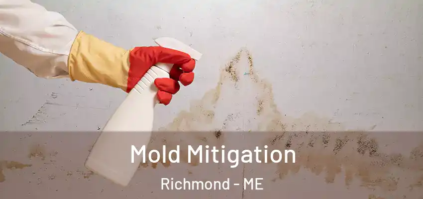 Mold Mitigation Richmond - ME