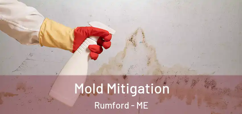 Mold Mitigation Rumford - ME