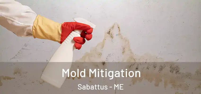Mold Mitigation Sabattus - ME