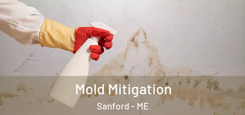  Mold Mitigation Sanford - ME