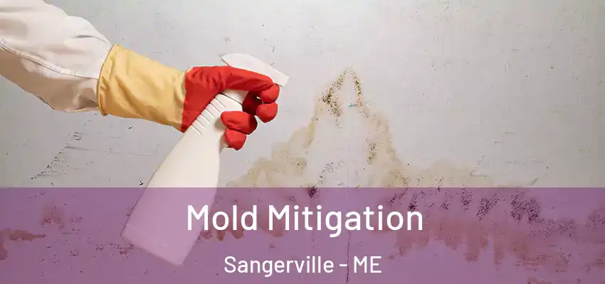 Mold Mitigation Sangerville - ME