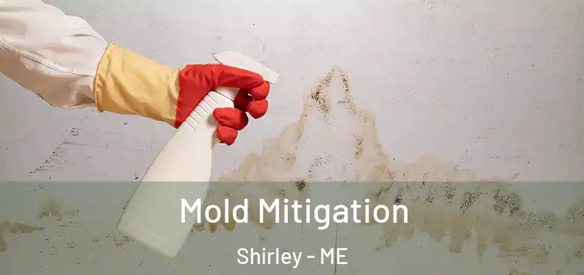  Mold Mitigation Shirley - ME